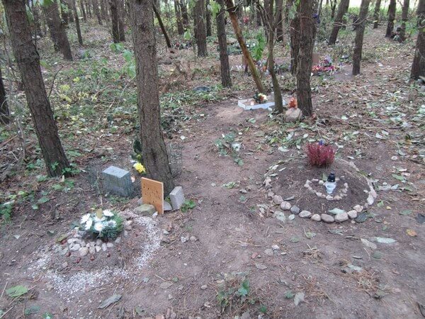 В нашей стране подобные стихийные кладбища домашних любимцев можно встретить буквально в каждом лесу