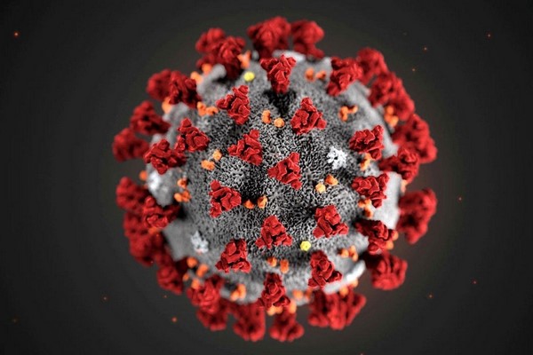 На фото – молекула коронавируса SARS-CoV-2