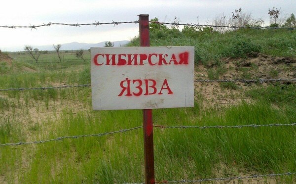 На фото – табличка с надписью «Сибирская язва»